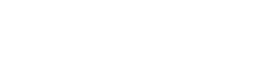 Black Swan Windows